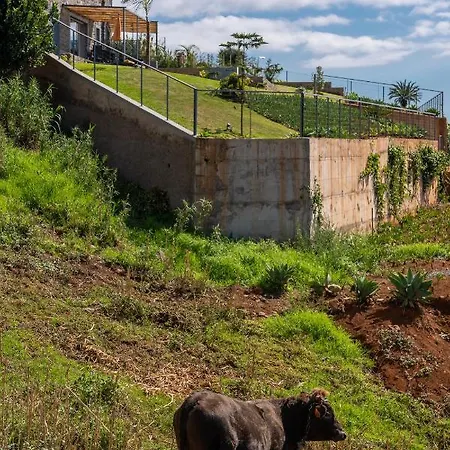 Flora - Nature & Tranquility - Heated Pool Optional Villa Jardim do Mar